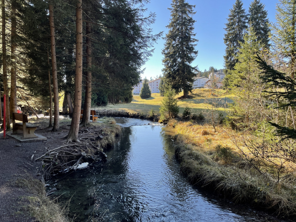 Der Bach im Eichhörnliwald ist auch eine hübsche Sache.