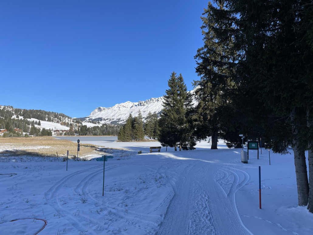 Der Heidsee ist bereits mit einer dünnen Eisschicht überzogen. Dem wenigen Schnee kann man also auch positive Aspekte abgewinnen: Vielleicht ist der See diesen Winter früher begehbar als auch schon.