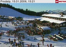 links oben sieht man noch ein teil der schlange.