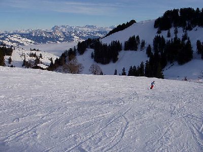 Abfahrt vom Rotstock über Rigi First nach Klösterli