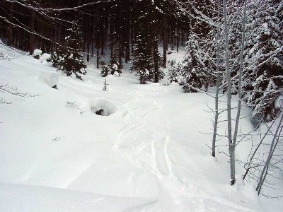 die letzten Schwünge