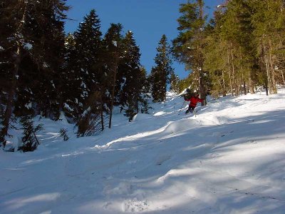 und weiter geht's...