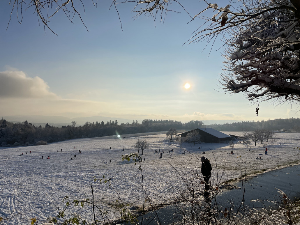 Viel Volk auf dem Hausberg. Berg ist hoch gegriffen, eher Hügel. Knapp 600m.üM. sind es hier nämlich nur. Aber noch Jura ;-)<br /><br />Der Bus hier hoch war rammelvoll mit Schlittlern und Fussgängern. Dadurch entstanden Verspätungen von bis zu 15 Minuten. Da Elektrobusse auf dieser Linie fahren, müssen diese an den Endhaltestellen jeweils die Batterien wieder auf-/nachladen, was der Pünktlichkeit auch nicht zu Gute kam (als täglicher Pendler auf dieser Linie könnte ich darüber ein Lied singen...).