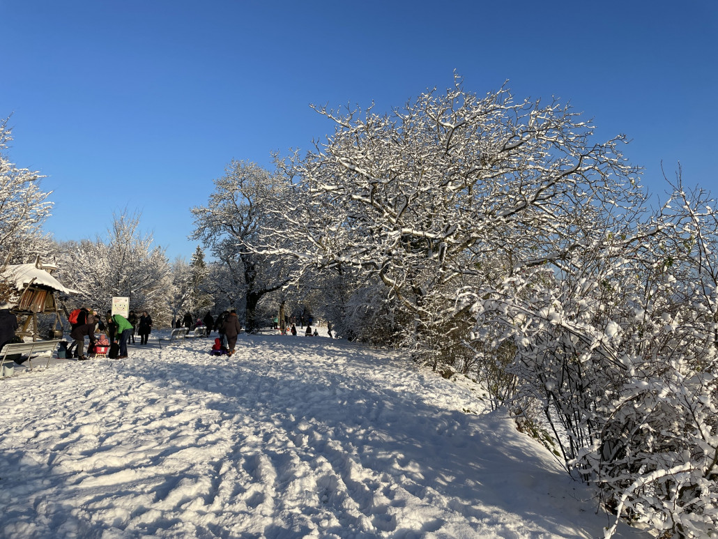 15cm feinster Pulverschnee. Selten mittlerweile.