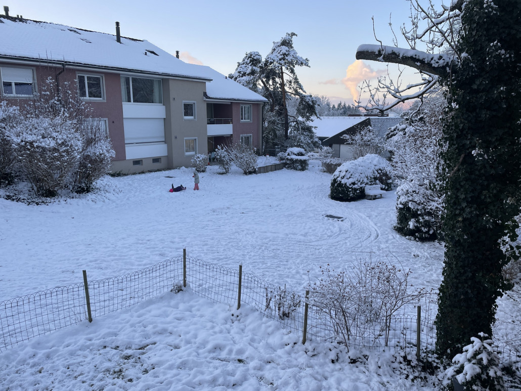 Blick in den Garten. Die Dampfsäule des AKW Leibstadt haben wir gratis dazu.