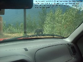 Infos auf den Bildern!