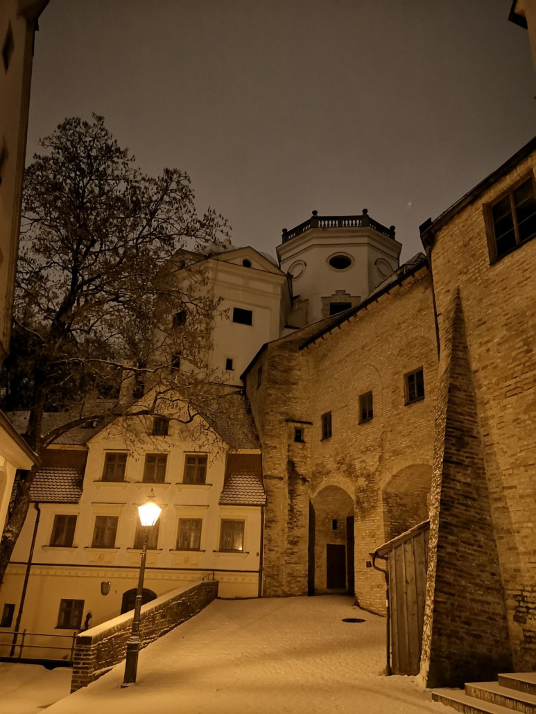 Abends alles wieder weiß. Heute morgen gute 5 cm Neuschnee