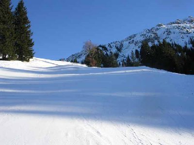 im unteren Teil der Grenzwiesen