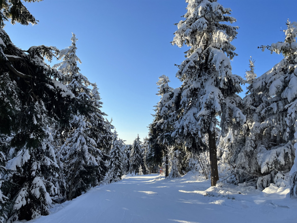 Winterstimmung im Wald auf der 2