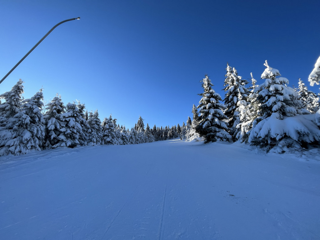 Blick bergwärts zur zweiten Kurve, hier sieht man die Wiese durch