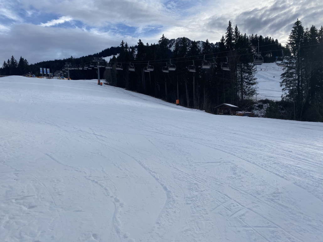 Adler am Dienstag 20.12.20222