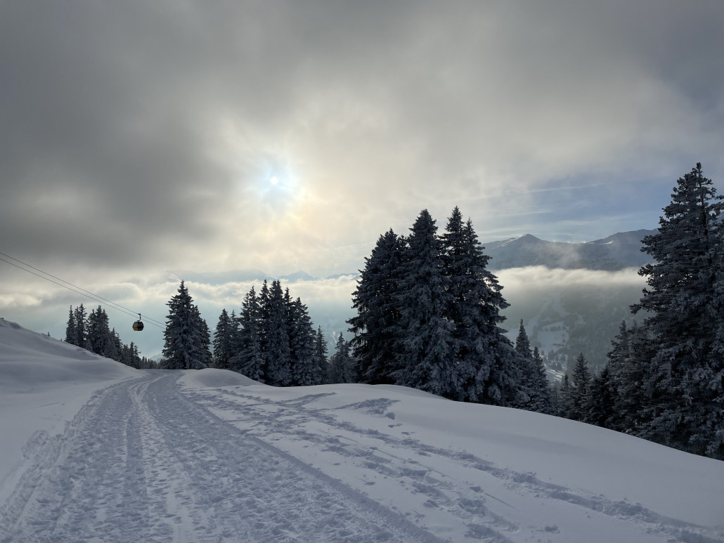 Da es auch am SL Scharmoin eine riesen Schlange hatte (Wartezeit wohl 15 bis 20 Minuten), entschieden wir uns, unerlaubterweise den Wanderweg/Deinestweg über die Alp Scharmoin in Richtung Talbabfahrt zur Lenzerheide zu nehmen. Dieser Entscheid war sehr lohnenswert.
