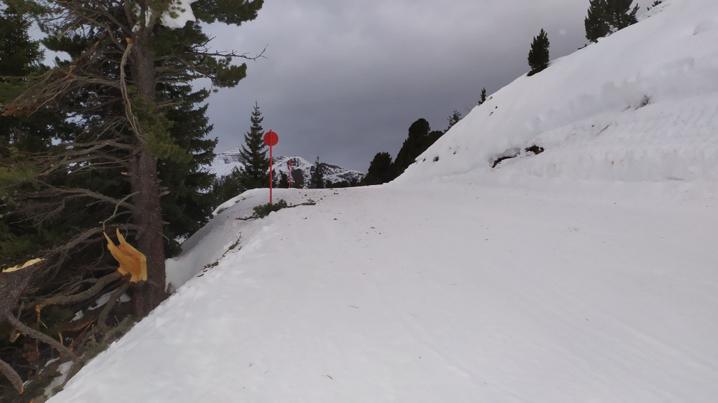 Der Baum stand am Vortag noch, möglicherweise war der Sturm so stark.