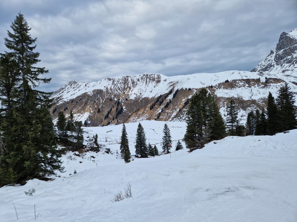 Warth_Dez_22_LZTG_by_Markus_Hahn (4).jpg