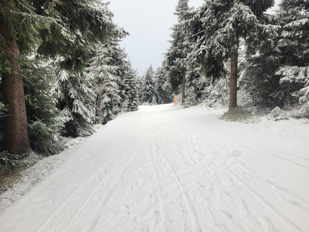 Verbindung Gipfel - Eckbauer; Piste 2
