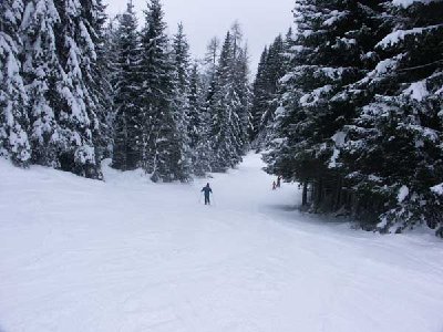 old style Waldabfahrt beim ESL