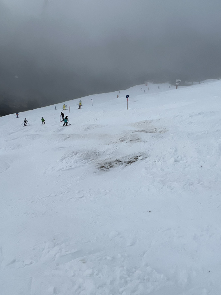 Ein gewohnter Anblick…ein bisschen Wiese