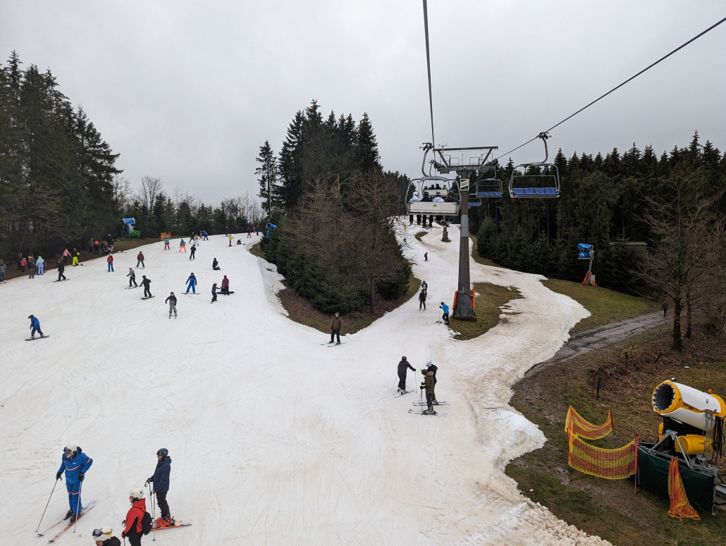 Rauher Busch als einziger mit 3 Varianten