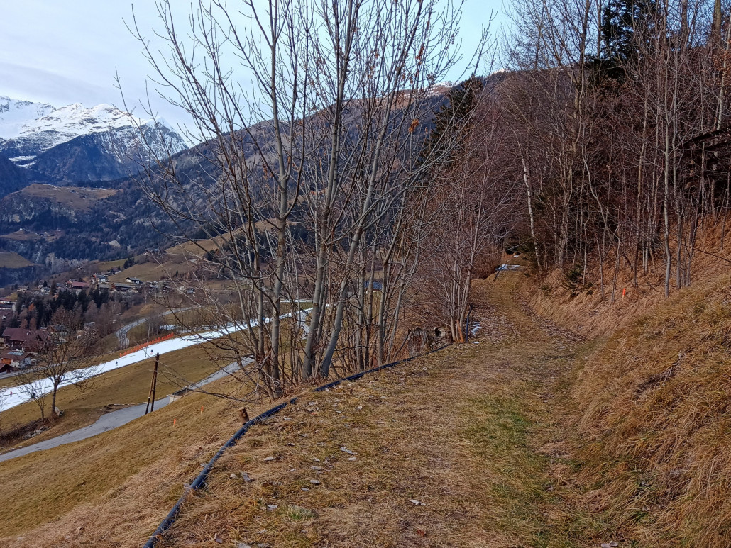 Kurz nach dem Abzweig von der bisherigen Piste. Beachte die orangen Pflöcke links und rechts. Das dürfte die Pistenbreite werde.