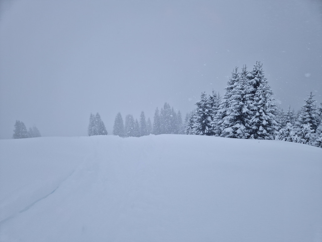 10Januar23_LZTG_by_Markus_Hahn (2).jpg