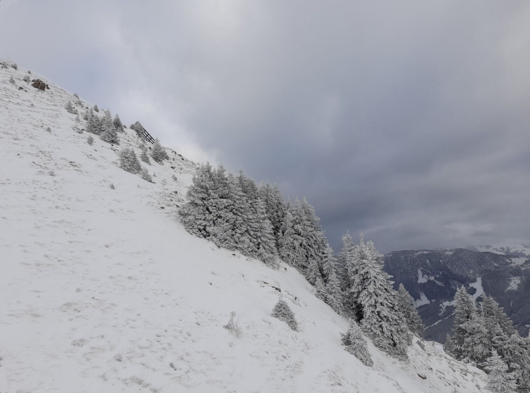 Verwehte Salve (Hopfgarten)