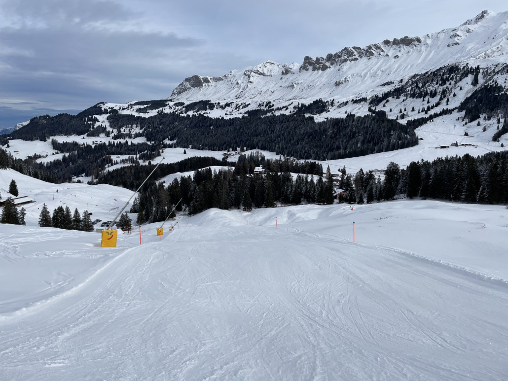 Proschieri. Schmal und eher unruhig.