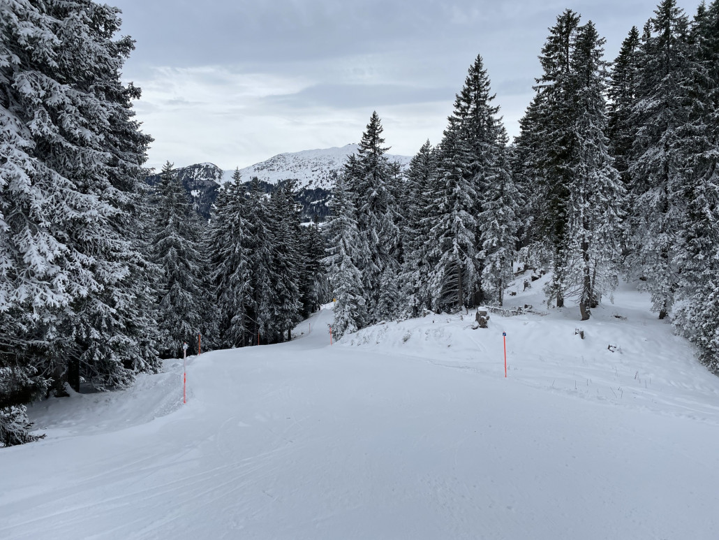 Die Talabfahrt Scharmoin gefiel mir derart gut, dass ich sogar eine Wiederholungsfahrt machte. Teilweise zwar unruhig und etwas knollig oder eisig. Die absolute Leere entschädigte dafür umso mehr.