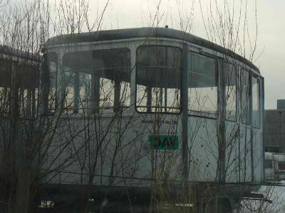 ganz in weiß... und ich dachte immer, die sind vom Garmischer Wank