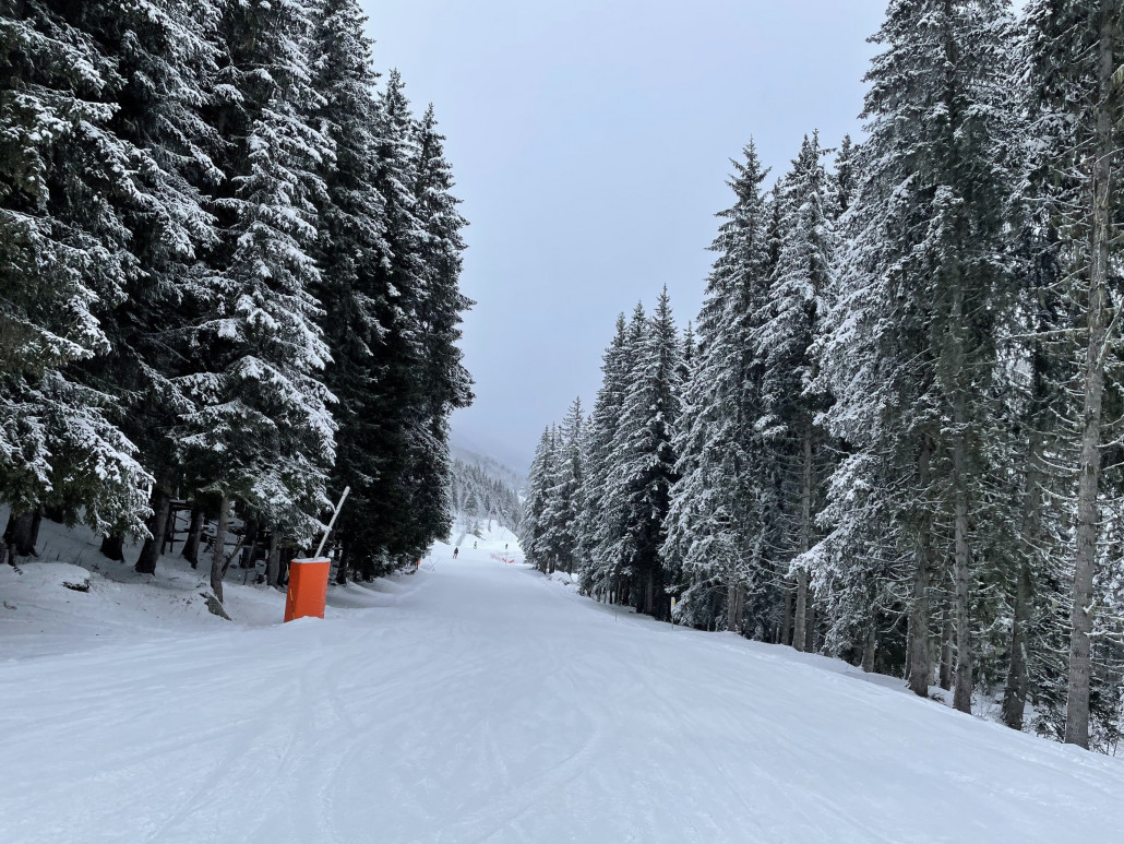 Winter Wonderland auf der Grünen Piste von Mottaret nach Meribel