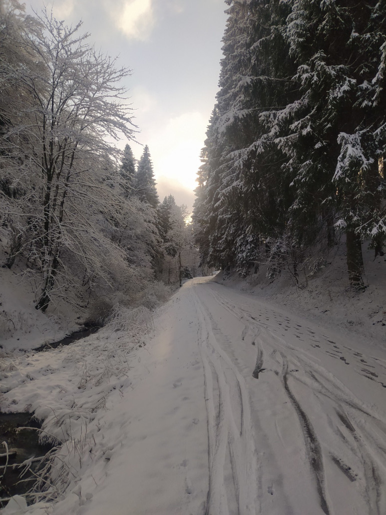 Verbindung zur Büre-Herrloh, natürlich sehr feucht