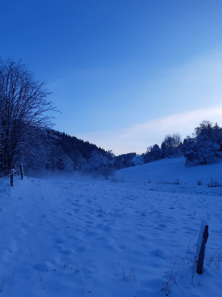 WhatsApp Image 2023-01-17 at 20.17.13.jpeg