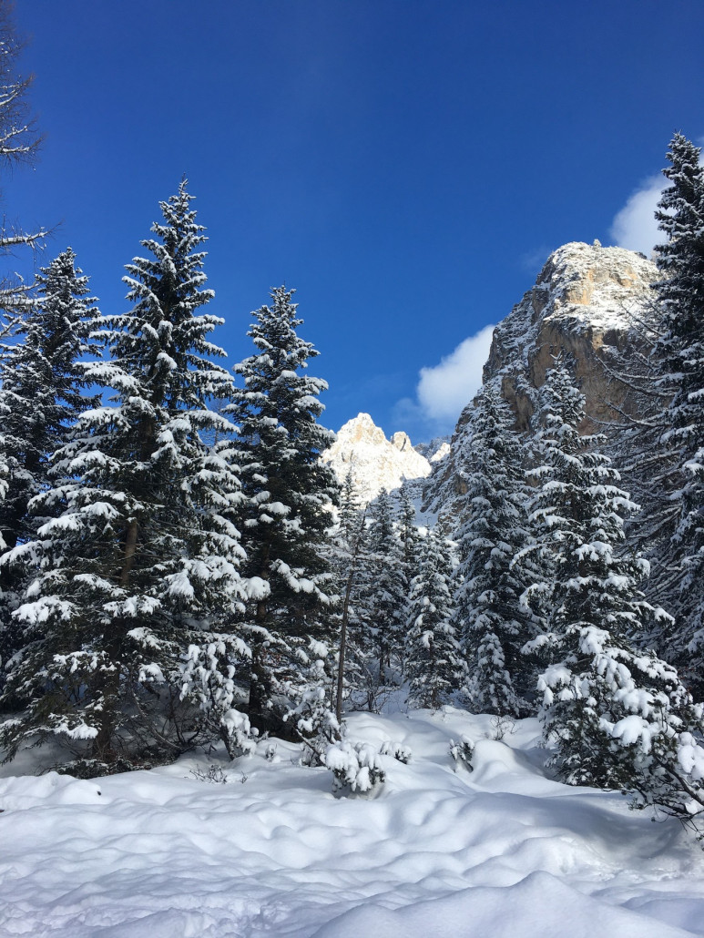 Ist das nicht traumhaft schön?