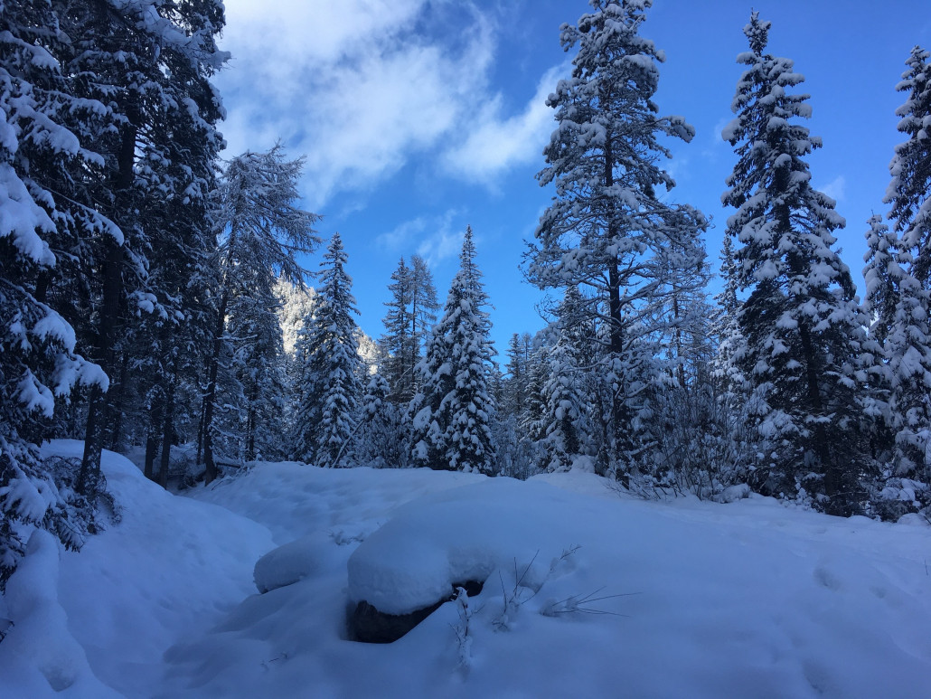 So sollte Winter immer sein