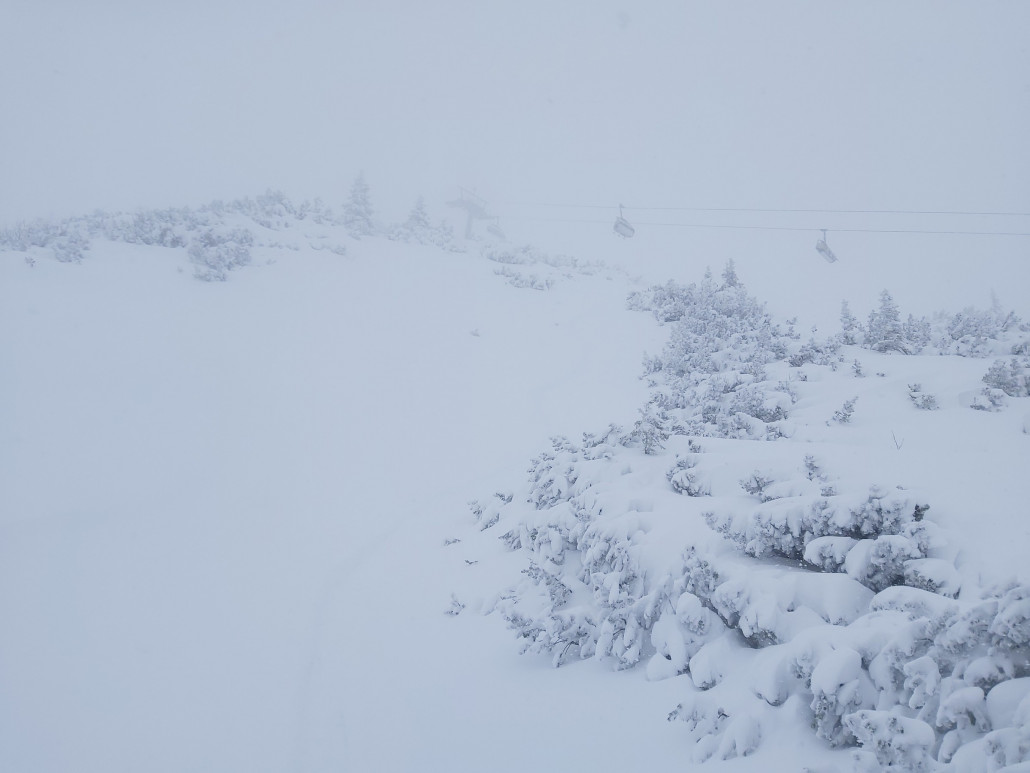 Am Lawinenstein eher Blindflug und die Latschen sind noch Zahlreich sichtbar.