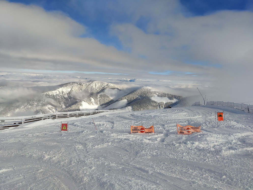 IMG_20230121_112207 (1).jpg