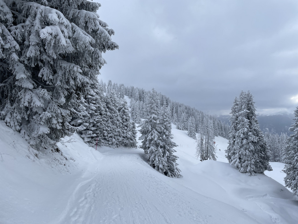 Unter dem Nebel schneite es sogar leicht. Über den Tag verteilt kamen so doch einige Zentimeter zusammen. Der Kontrast zu Arosa, wo Sonnenschein herrschte, war äusserst speziell. Durch den Neuschnee kam hier ein ganz anderes Fahrgefühl auf.