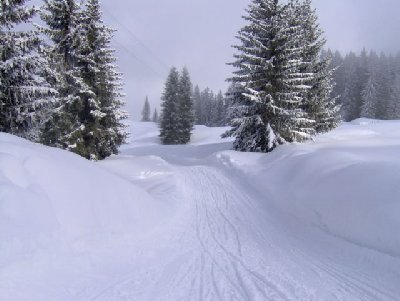 Schlittelbahn im mittleren Teil, der oberste Abschnitt ist am steilsten