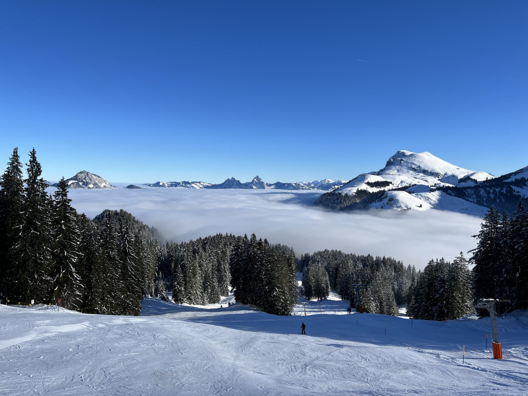 2023-01-25 10.29.24.jpg