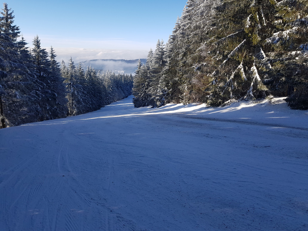 Morgens schon erste braune Stellen