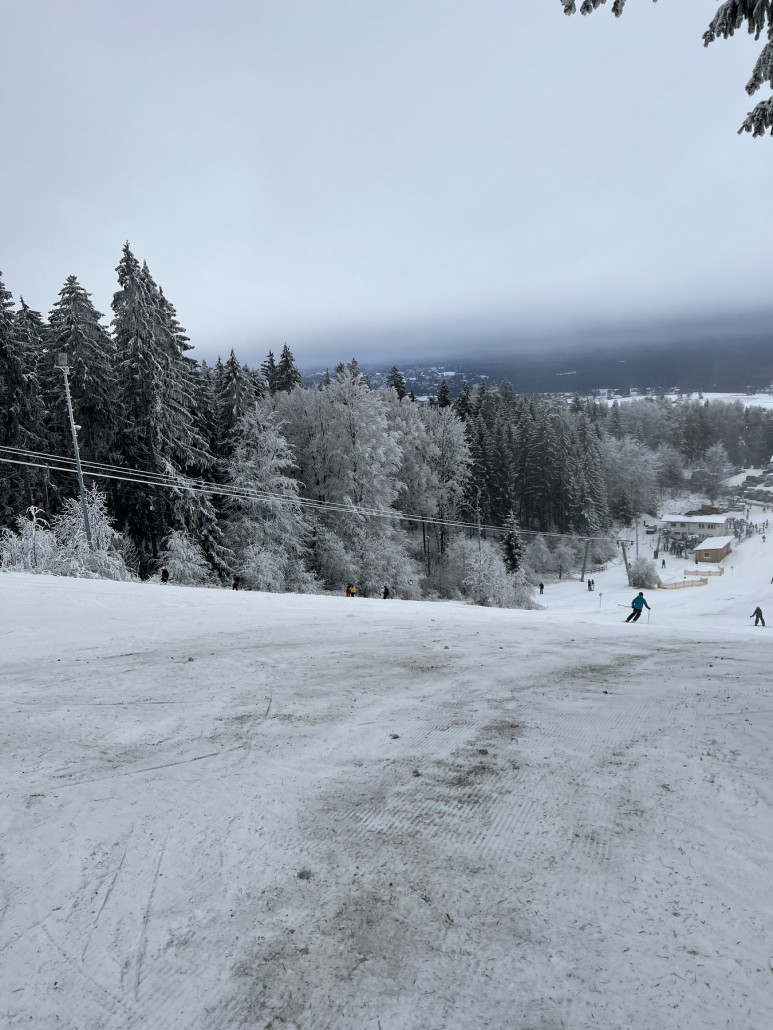 An der Kuppe in der Mitte leider bisschen Dreck, meist aber Wiese/Erde oder Nadeln von den Bäumen auf der Piste, Steine nur sehr vereinzelt und gut umfahrbar