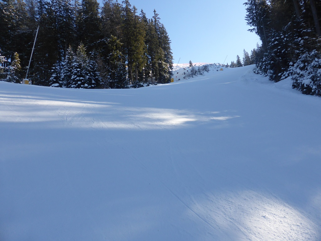 es gab neben der Hauptpiste eine kurze rote Piste durch den Wald. War hier etwas härter, hier der obere Teil.