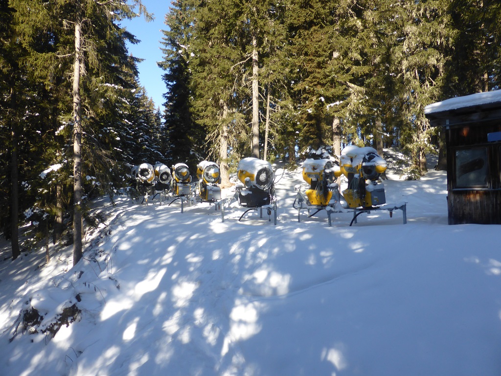 in einem  Waldweg versteckt, eine kleine, schlagkräftige Truppe.