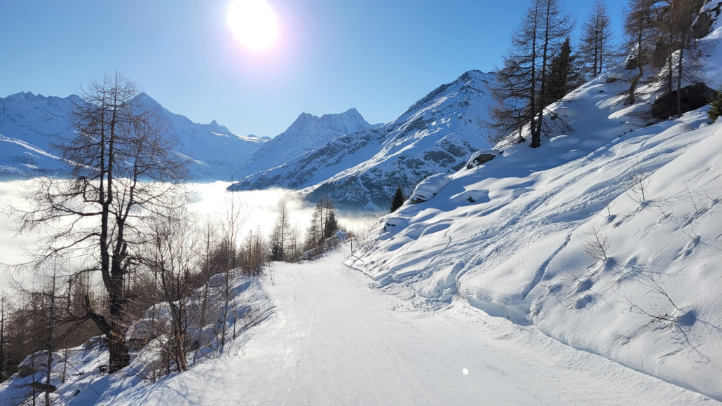 Rückbringer von Vendes