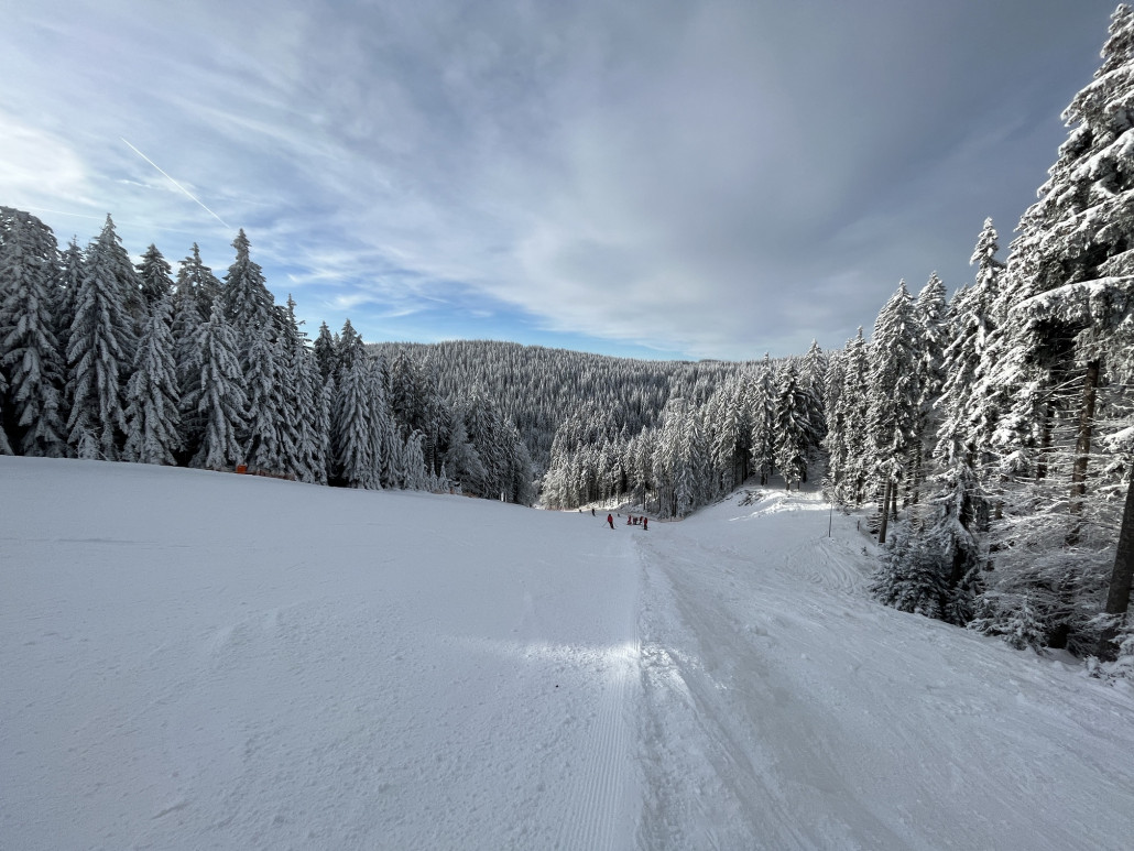 "Moser" hier wie schon letzte Saison auf 2/3 reduzierte Breite