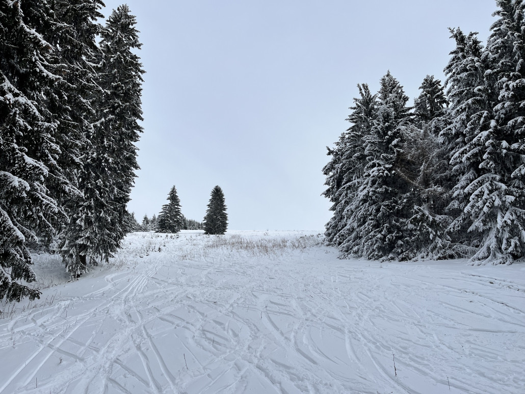 ...und an deren Ende bei Zufahrt zum Lift M