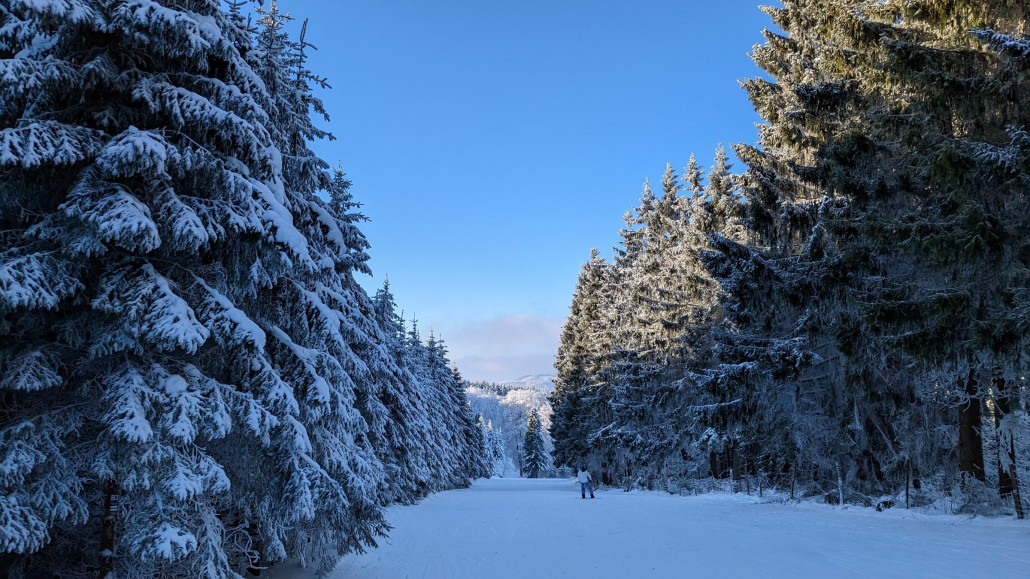 Oben flach und einwandfrei präpariert.
