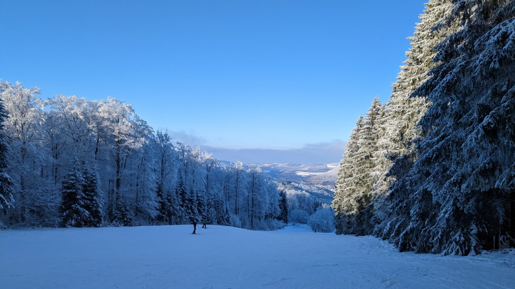 Im steileren Teil etwas Gemüse, aber steinfrei.