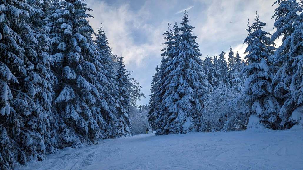 Weiter unten dafür ebenfalls mit Grünzeug, aber schön verschneit.