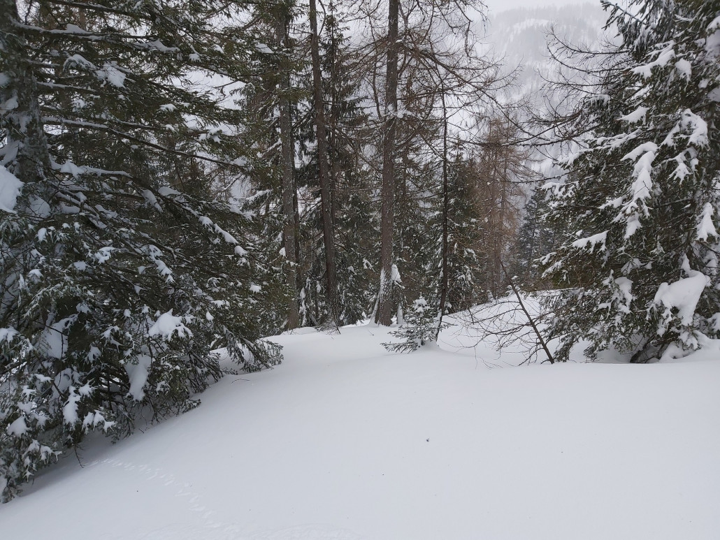 Die Auswahl war erst nicht überschaubar. Alles sah so gut aus.