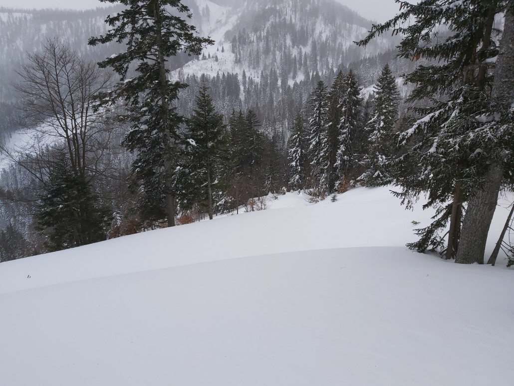 Ein Teppich nach dem nächsten.